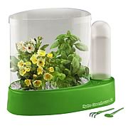 Hydro Greenhouse  2 Tabletop Hydroponic Mini-Greenhouse